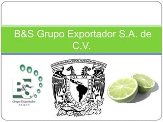 B&S Grupo Exportador S.A. de C.V. 