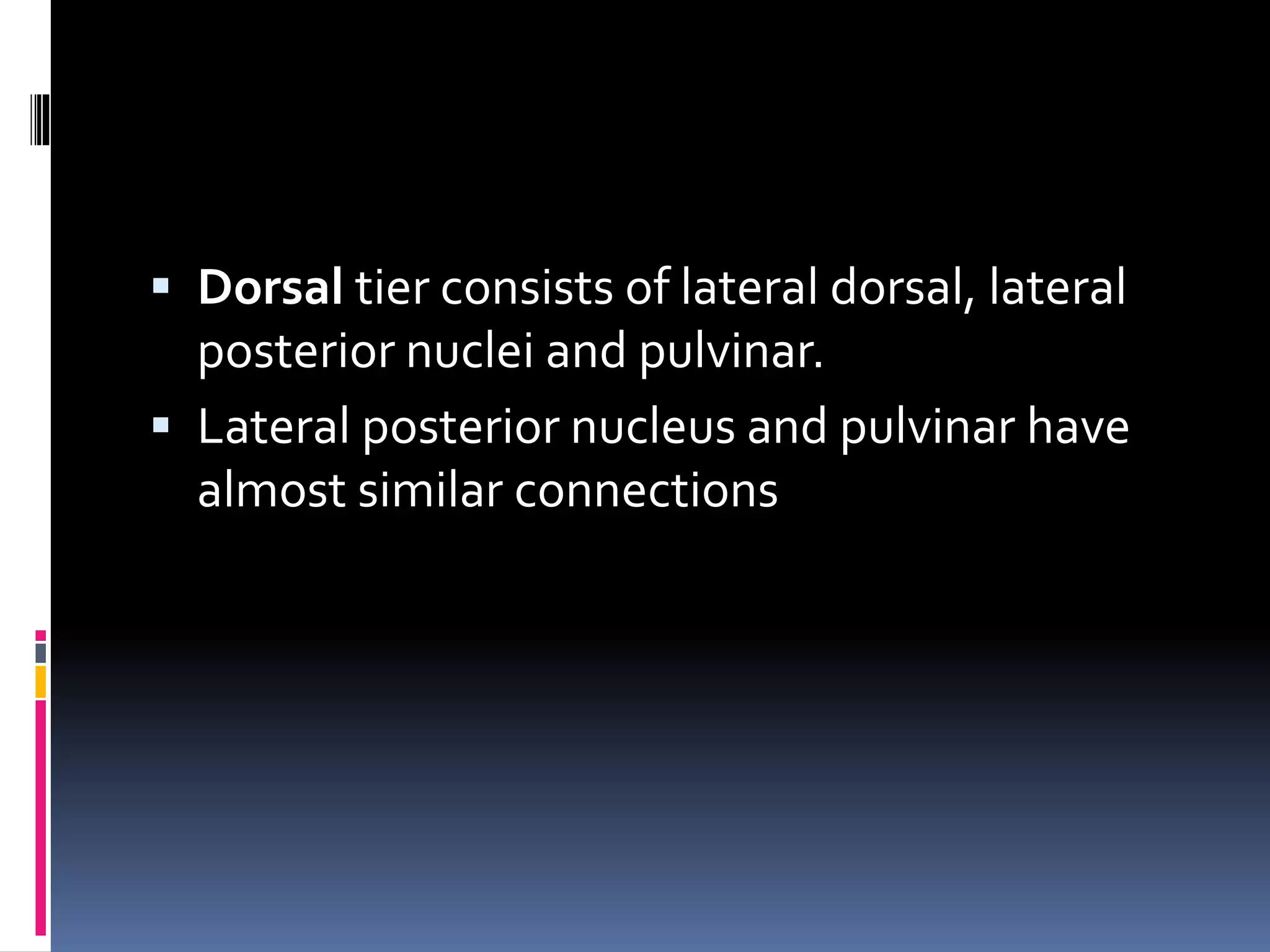  Dorsal tier consists of lateral dorsal, lateral
posterior nuclei and pulvinar.
 Lateral posterior nucleus and pulvinar have
almost similar connections
 