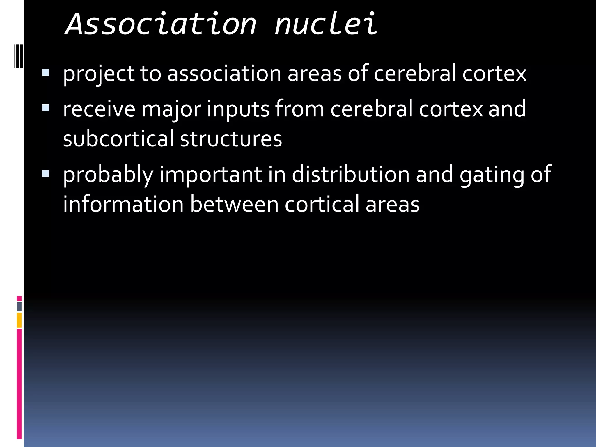 Association nuclei
 project to association areas of cerebral cortex
 receive major inputs from cerebral cortex and
subcortical structures
 probably important in distribution and gating of
information between cortical areas
 