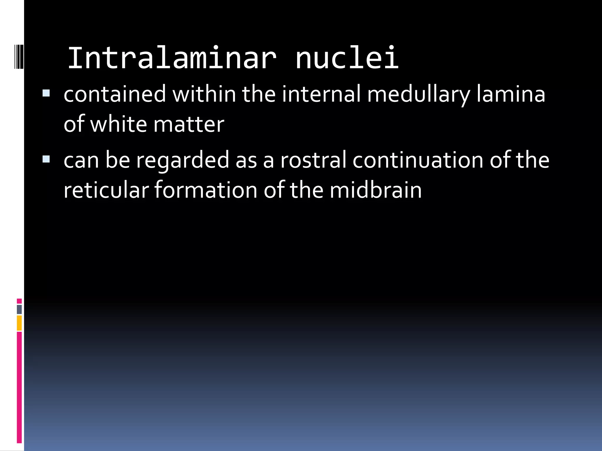 Intralaminar nuclei
 contained within the internal medullary lamina
of white matter
 can be regarded as a rostral continuation of the
reticular formation of the midbrain
 