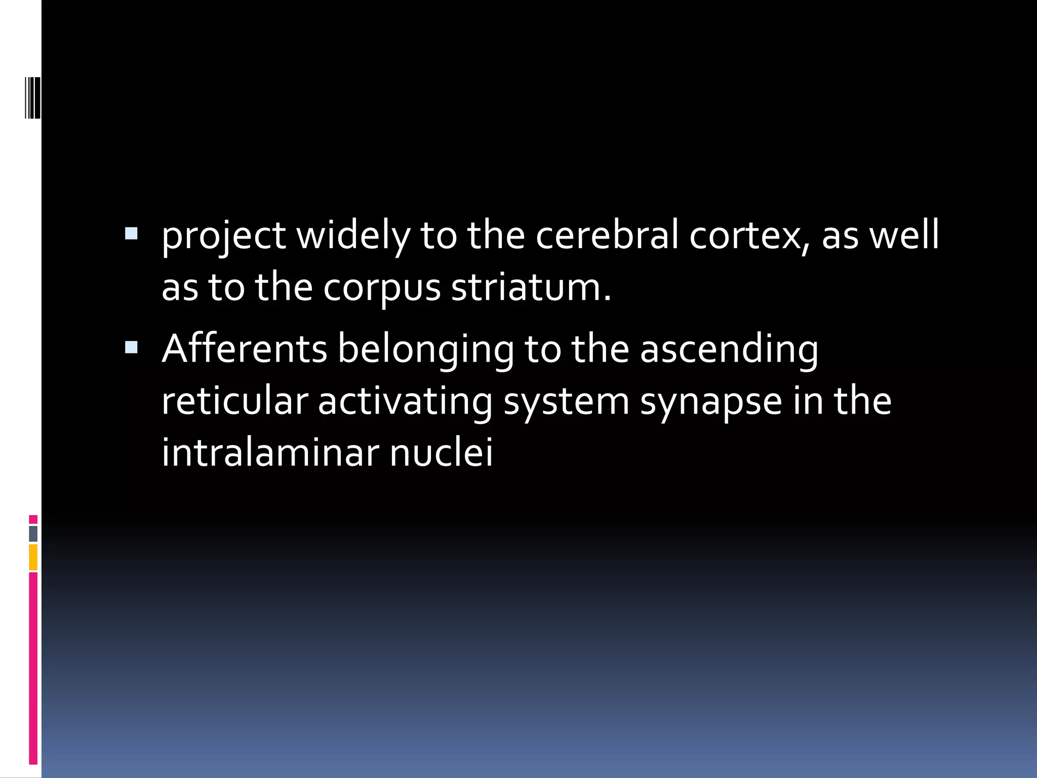  project widely to the cerebral cortex, as well
as to the corpus striatum.
 Afferents belonging to the ascending
reticular activating system synapse in the
intralaminar nuclei
 
