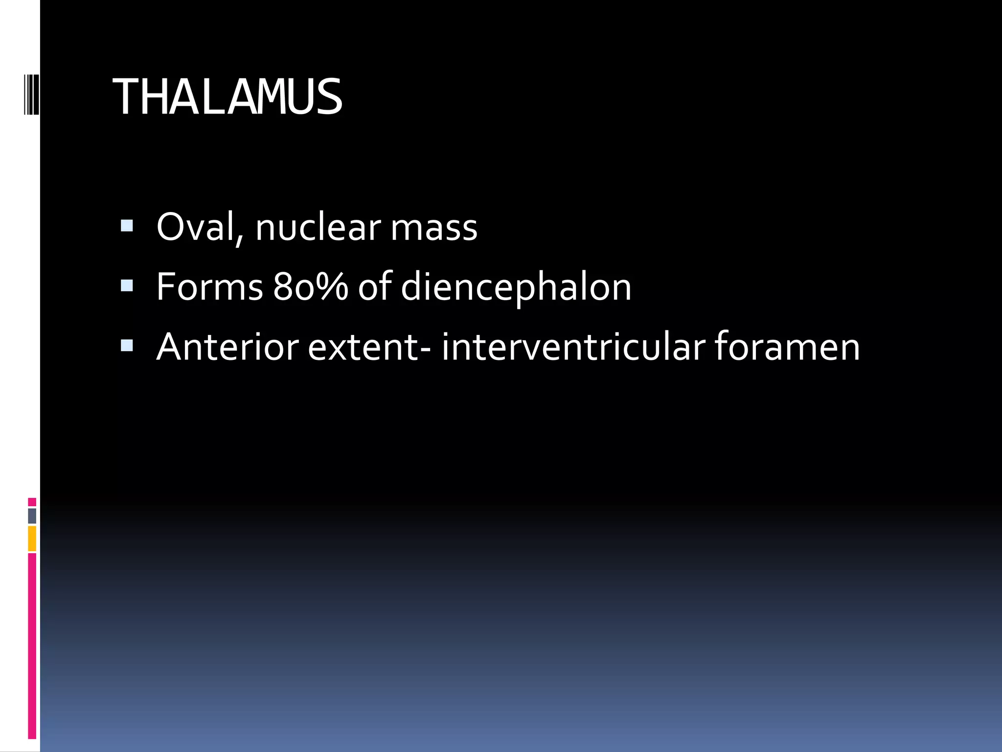 THALAMUS
 Oval, nuclear mass
 Forms 80% 0f diencephalon
 Anterior extent- interventricular foramen
 