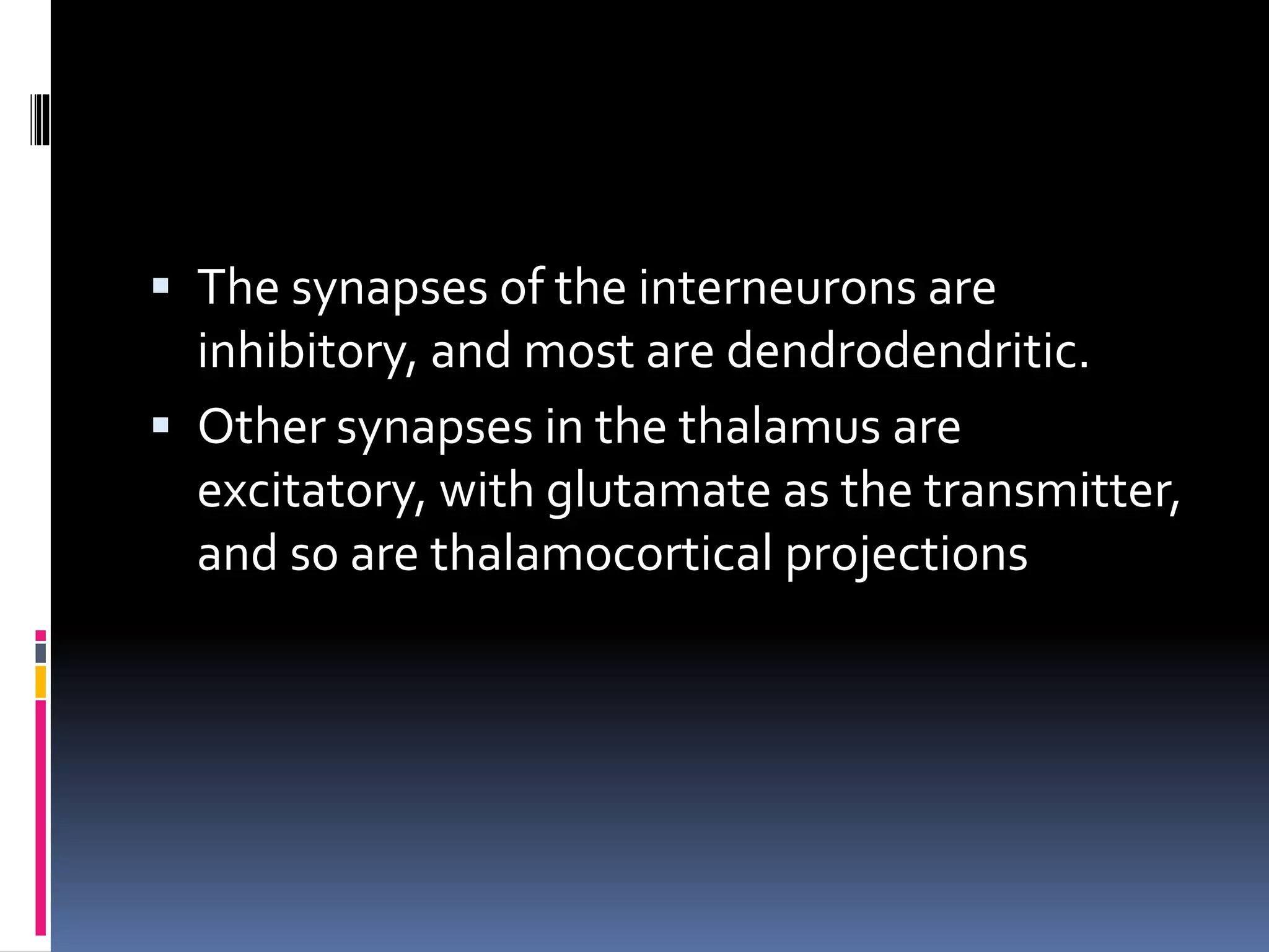  The synapses of the interneurons are
inhibitory, and most are dendrodendritic.
 Other synapses in the thalamus are
excitatory, with glutamate as the transmitter,
and so are thalamocortical projections
 