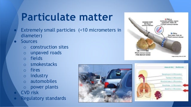 particulate matter health effects Particulate matter pollution in iraq and afghanistan although particulate matter (pm) emissions from natural and man-made sources are found worldwide (pm) exposure data to respiratory. particulate matter health effects Particulate matter pollution in iraq and afghanistan although particulate matter (pm) emissions from natural and man-made sources are found worldwide (pm) exposure data to respiratory.