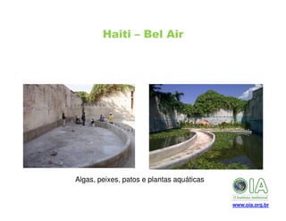 Haiti – Bel Air

Algas, peixes, patos e plantas aquáticas

www.oia.org.br

 