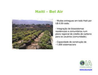 Haiti – Bel Air
- Mudas entregues em todo Haiti por
U$ 0,50 cada;
- Integração de biossistemas
residenciais e comunitários num
plano regional de crédito de carbono
para os usuários (comunidade);
- Capacidade de construção de
~1.000 sistemas/ano

www.oia.org.br

 