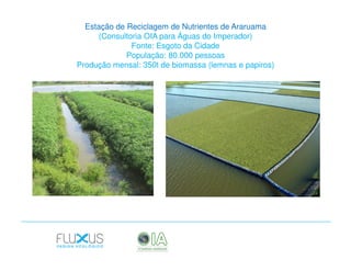 Estação de Reciclagem de Nutrientes de Araruama
(Consultoria OIA para Águas do Imperador)
Fonte: Esgoto da Cidade
População: 80.000 pessoas
Produção mensal: 350t de biomassa (lemnas e papiros)

 