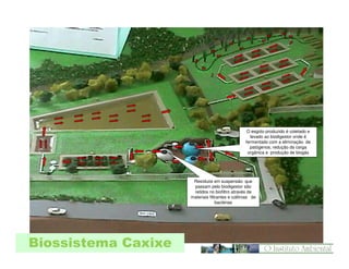 O esgoto produzido é coletado e
levado ao biodigestor onde é
fermentado com a eliminação de
patógenos, redução da carga
orgânica e produção de biogás

Resíduos em suspensão que
passam pelo biodigestor são
retidos no biofiltro através de
materiais filtrantes e colônias de
bactérias

Biossistema Caxixe

 