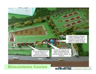 O esgoto produzido é coletado e
levado ao biodigestor onde é
fermentado com a eliminação de
patógenos, redução da carga
orgânica e produção de biogás

Na Zona de Raízes há uma
primeira redução de
nutrientes e redução do
volume por ação das plantas

Biossistema Caxixe

Resíduos em suspensão que
passam pelo biodigestor são
retidos no biofiltro através de
materiais filtrantes e colônias de
bactérias

 
