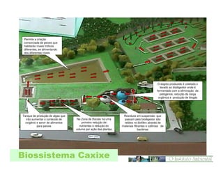 Permite a criação
consorciada de peixes que
habitarão níveis tróficos
diferentes, se alimentando
dos diferentes níveis

O esgoto produzido é coletado e
levado ao biodigestor onde é
fermentado com a eliminação de
patógenos, redução da carga
orgânica e produção de biogás

Tanque de produção de algas que
irão aumentar o conteúdo de
oxigênio e servir de alimentos
para peixes

Na Zona de Raízes há uma
primeira redução de
nutrientes e redução do
volume por ação das plantas

Biossistema Caxixe

Resíduos em suspensão que
passam pelo biodigestor são
retidos no biofiltro através de
materiais filtrantes e colônias de
bactérias

 