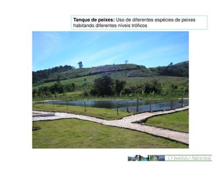 Tanque de peixes: Uso de diferentes espécies de peixes
habitando diferentes níveis tróficos

 