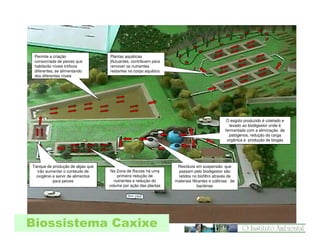 Permite a criação
consorciada de peixes que
habitarão níveis tróficos
diferentes, se alimentando
dos diferentes níveis

Plantas aquáticas
jflutuantes, contribuem para
remover os nutrientes
restantes no corpo aquático

O esgoto produzido é coletado e
levado ao biodigestor onde é
fermentado com a eliminação de
patógenos, redução da carga
orgânica e produção de biogás

Tanque de produção de algas que
irão aumentar o conteúdo de
oxigênio e servir de alimentos
para peixes

Na Zona de Raízes há uma
primeira redução de
nutrientes e redução do
volume por ação das plantas

Biossistema Caxixe

Resíduos em suspensão que
passam pelo biodigestor são
retidos no biofiltro através de
materiais filtrantes e colônias de
bactérias

 