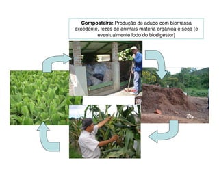 Composteira: Produção de adubo com biomassa
excedente, fezes de animais matéria orgânica e seca (e
eventualmente lodo do biodigestor)

 