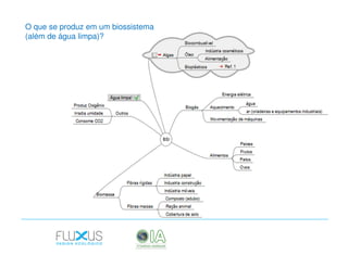 O que se produz em um biossistema
(além de água limpa)?

 