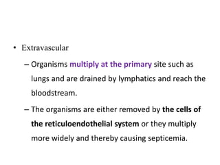Extravascular System BSI.pptx