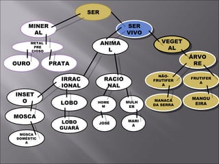 SER SER VIVO MANGUEIRA PRATA OURO VEGETAL MINERAL MANACÁ DA SERRA ANIMAL FRUTIFERA ÁRVORE NÃO-FRUTIFERA METAL  PRE CIOSO RACIONAL INSETO IRRACIONAL HOMEM MULHER LOBO MARIA JOSÉ LOBO GUARÁ MOSCA DOMÉSTICA MOSCA 