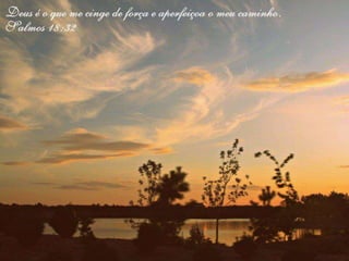 QUESTÕES DE CONCURSOS -  Diretrizes  Curriculares  Nacionais  Gerais  para  a  Educação  Básica  aprovada  pela Resolução nº 4, de 13 de julho de 2010. Professores e pedagogos