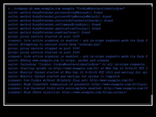 Turning Burp into an Automated
Scanner?
 