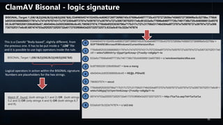 ClamAV Bisonal - logic signature
BISONAL;Target:1;(0&1&2)|(0&2&3)|(4&5)|(6&7&8);534f4654574152455c4d6963726f736f66745c57696e646f77735c43757272656e7456657273696f6e5c52756e;776b6
b6f25303068686831797e7c747d707074317c7072304a6f73707e7b5976737a30797e727a306730702f317e6c6f;633a5c77696e646f77735c7461736b735c646566612e6578
65;6c6f76652061206d656e67;4845404c2d505368656c6c45;7865637574;776b6b6f253030796a717b317c727c31706d31746d304a6f73707e7b5976737a30797e727a306
730702f317e6c6f;687474703a2f2f25732f25732e6173703f69643d257325732573;633a5c615c322e747874
BISONAL;Target:1;(0&1&2)|(0&2&3)|(4&5)|(6&7&8)
This is a ClamAV “Body-based”, slightly different, from
the previous one. It has to be put inside a “.LDB” file
and it is possible to use logic operators inside the rule.
Logical operators in action within the BISONAL signature.
Numbers are placeholders for the hex strings.
Match IF found: (both strings 0,1 and 2) OR (both strings
0,2 and 3) OR (only strings 4 and 5) OR (both strings 6,7
and 8).
534f4654574152455c4d6963726f736f66745c57696e646f77735c43757272656e7456657273696f6e5c52756e =
SOFTWAREMicrosoftWindowsCurrentVersionRun
776b6b6f25303068686831797e7c747d707074317c7072304a6f73707e7b5976737a30797e727a306730702f317e6
c6f = wkko%00hhh1y~|t}ppt1|pr0Josp~{Yvsz0y~rz0g0p/1~lo
633a5c77696e646f77735c7461736b735c646566612e657865 = c:windowstasksdfea.exe
6c6f76652061206d656e67 = love a meng
4845404c2d505368656c6c45 = HE@L-PShellE
7865637574 = xecut
776b6b6f253030796a717b317c727c31706d31746d304a6f73707e7b5976737a30797e727a306730702f317e6c6f =
wkko%00yjq{1|r|1pm1tm0Josp~{Yvsz0y~rz0g0p/1~lo
687474703a2f2f25732f25732e6173703f69643d257325732573 = http://%s/%s.asp?id=%s%s%s
633a5c615c322e747874 = c:a2.txtz
1
2
3
4
5
6
7
8
0
35
 