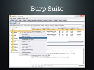 Burp Suite
 