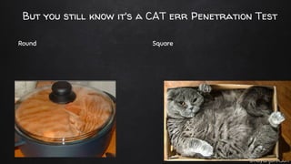 @haydnjohnson
But you still know it's a CAT err Penetration Test
Round Square
 