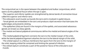 BS II. 11.EYE, ORBIT, ORBITAL REGION, AND EYEBALL.pptx
