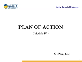 Amity School of Business




PLAN OF ACTION
    ( Module IV )




                    Ms Parul Goel
                                                1
 