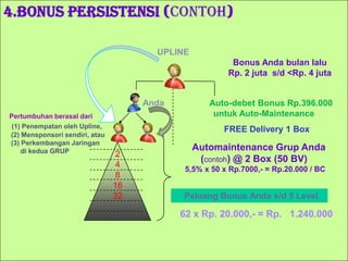 2 box		(50 BV)	      	10 generasi