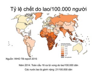 Tỷ lệ chết do lao/100.000 người
Năm 2014: Toàn cầu 16 ca tử vong do lao/100.000 dân
Các nước lao là gánh nặng: 21/100.000 dân
Nguồn: WHO TB report 2015
 