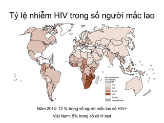 Tỷ lệ nhiễm HIV trong số người mắc lao
Năm 2014: 12 % trong số người mắc lao có HIV+
Việt Nam: 5% trong số có H test
 