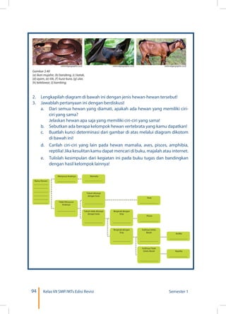 94 Kelas VII SMP/MTs Edisi Revisi Semester 1
2.	 Lengkapilah diagram di bawah ini dengan jenis hewan-hewan tersebut!
3.	 Jawablah pertanyaan ini dengan berdiskusi!
	 a.	 Dari semua hewan yang diamati, apakah ada hewan yang memiliki ciri-
ciri yang sama?
		 Jelaskan hewan apa saja yang memiliki ciri-ciri yang sama!
	 b.	 Sebutkan ada berapa kelompok hewan vertebrata yang kamu dapatkan!
	 c.	 Buatlah kunci determinasi dari gambar di atas melalui diagram dikotom
di bawah ini!
	 d.	 Carilah ciri-ciri yang lain pada hewan mamalia, aves, pisces, amphibia,
reptilia! Jika kesulitan kamu dapat mencari di buku, majalah atau internet.
	 e.	 Tulislah kesimpulan dari kegiatan ini pada buku tugas dan bandingkan
dengan hasil kelompok lainnya!
Nama Hewan:
Bergerak dengan
Sirip
Bergerak dengan
Sirip
Kulitnya Selalu
Basah
Kullitnya Tidak
Selalu Basah
Aves
Pisces
Amfibi
Reptilia
Tubuh ditutupi
dengan bulu
Tubuh tidak ditutupi
dengan bulu
Mamalia
Tidak Menyusui
Anaknya
Menyusui Anaknya
......................................
..............................
..............................
..............................
..............................
..............................
..............................
......................................
......................................
......................................
...................................... ......................................
......................................
......................................
......................................
......................................
......................................
......................................
......................................
nationalgeographic.co.id nationalgeographic.co.id nationalgeographic.co.id
(g) (h) (i)
Gambar 3.40
(a) ikan mujahir, (b) bandeng, (c) katak,
(d) ayam, (e) itik, (f) kura-kura, (g) ular,
(h) kelelawar, (i) kambing.
 