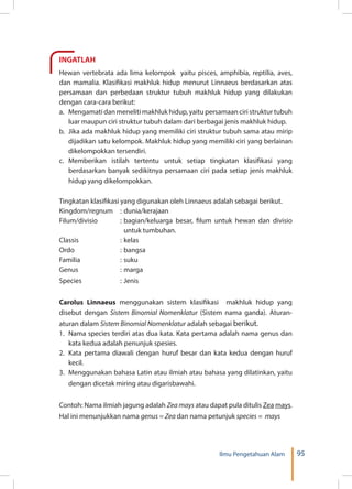 95Ilmu Pengetahuan Alam
INGATLAH
Hewan vertebrata ada lima kelompok yaitu pisces, amphibia, reptilia, aves,
dan mamalia. Klasifikasi makhluk hidup menurut Linnaeus berdasarkan atas
persamaan dan perbedaan struktur tubuh makhluk hidup yang dilakukan
dengan cara-cara berikut:
a.	 Mengamati dan meneliti makhluk hidup, yaitu persamaan ciri struktur tubuh
luar maupun ciri struktur tubuh dalam dari berbagai jenis makhluk hidup.
b.	 Jika ada makhluk hidup yang memiliki ciri struktur tubuh sama atau mirip
dijadikan satu kelompok. Makhluk hidup yang memiliki ciri yang berlainan
dikelompokkan tersendiri.
c.	Memberikan istilah tertentu untuk setiap tingkatan klasifikasi yang
berdasarkan banyak sedikitnya persamaan ciri pada setiap jenis makhluk
hidup yang dikelompokkan.
Tingkatan klasifikasi yang digunakan oleh Linnaeus adalah sebagai berikut.
Kingdom/regnum	 :	dunia/kerajaan		
Filum/divisio	 :	bagian/keluarga besar, filum untuk hewan dan divisio
untuk tumbuhan.
Classis	 :	kelas		
Ordo	 :	bangsa		
Familia	 :	suku			
Genus	 :	marga
Species	 :	Jenis
Carolus Linnaeus menggunakan sistem klasifikasi  makhluk hidup  yang
disebut dengan Sistem Binomial Nomenklatur (Sistem nama ganda). Aturan-
aturan dalam Sistem Binomial Nomenklatur adalah sebagai berikut.
1.	Nama species terdiri atas dua kata. Kata pertama adalah nama genus dan
kata kedua adalah penunjuk spesies. 
2.	 Kata pertama diawali dengan huruf besar dan kata kedua dengan huruf
kecil.
3.	 Menggunakan bahasa Latin atau ilmiah atau bahasa yang dilatinkan, yaitu
dengan dicetak miring atau digarisbawahi.
Contoh: Nama ilmiah jagung adalah Zea mays atau dapat pula ditulis Zea mays.
Hal ini menunjukkan nama genus = Zea dan nama petunjuk species = mays
 