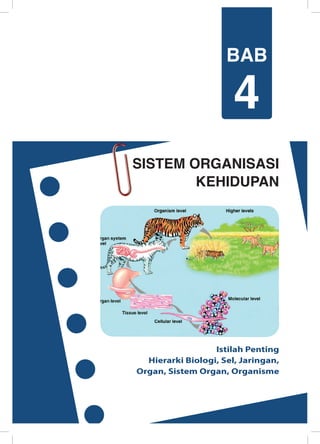 SISTEM ORGANISASI
KEHIDUPAN
Istilah Penting
Hierarki Biologi, Sel, Jaringan,
Organ, Sistem Organ, Organisme
BAB
4
 