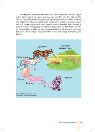 101Ilmu Pengetahuan Alam
Pada kegiatan yang telah kamu lakukan, kamu mengamati struktur bagian
dalam katak seperti paru-paru, jantung, usus dan lain-lain. Ternyata jika kita
telusuri, bagian-bagian tersebut tersusun dalam bagian unit-unit terkecil lagi dan
unit ini pun masih disusun lagi oleh unit yang lebih kecil, sehingga urutan-urutan
unit-unit ini akan membentuk suatu hierarki struktur. Hierarki struktur ini dikenal
dengan Hierarki biologi yang membentuk suatu organisasi kehidupan. Gambar
4.2 menunjukkan struktur Hierarki organisasi kehidupan dimulai dari atom yang
berukuran mikro sampai yang berukuran makro dan sangat kompleks, yaitu
biosfer.
Sumber: http://op.wikispaces.com
Gambar 4.2. Organisasi Kehidupan
Organisme
Sistem Organ
Organ
Jaringan
Sel
Molekul
Tumbuhan
Tingkat Tinggi
 