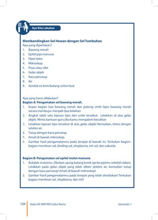 104 Kelas VII SMP/MTs Edisi Revisi Semester 1
Membandingkan Sel Hewan dengan Sel Tumbuhan
Apa yang diperlukan?
1. 	 Bawang merah
2. 	 Epitel pipi manusia
3. 	 Pipet tetes
4. 	 Mikroskop
5. 	 Pisau atau silet
6. 	 Gelas objek
7. 	 Kaca penutup
8. 	 Air
9.	 Sendok es krim/batang cotton bud.
Apa yang harus dilakukan?
Bagian A: Pengamatan sel bawang merah.
1.	 Kupas bagian luar bawang merah dan potong umbi lapis bawang merah
secara membujur menjadi dua belahan
2.	 Angkat salah satu lapisan tipis dari umbi tersebut. Letakkan di atas gelas
objek. Minta bantuan guru jika kamu mengalami kesulitan
3.	 Letakkan lapisan tipis tersebut di atas gelas objek! Kemudian, tetesi dengan
setetes air.
4.	 Tutup dengan kaca penutup.
5.	 Amati di bawah mikroskop.
6.	 Gambar hasil pengamatanmu pada tempat di bawah ini. Tentukan bagian-
bagian membran sel, dinding sel, sitoplasma, inti sel, dan vakuola.
Bagian B: Pengamatan sel epitel mulut manusia
1.	 Bukalah mulutmu. Oleskan ujung batang korek api ke pipimu sebelah dalam.
Letakkan pada gelas objek yang telah diberi setetes air, kemudian tutup
dengan kaca penutup! Amati di bawah mikroskop!
2.	 Gambar hasil pengamatanmu pada tempat yang telah disediakan! Tentukan
bagian membran sel, sitoplasma, dan inti!
Ayo Kita Lakukan
 