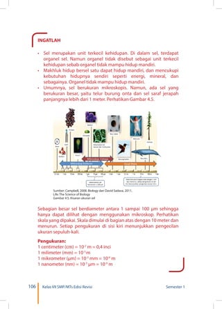 106 Kelas VII SMP/MTs Edisi Revisi Semester 1
INGATLAH
•	 Sel merupakan unit terkecil kehidupan. Di dalam sel, terdapat
organel sel. Namun organel tidak disebut sebagai unit terkecil
kehidupan sebab organel tidak mampu hidup mandiri.
•	 Makhluk hidup bersel satu dapat hidup mandiri, dan mencukupi
kebutuhan hidupnya sendiri seperti energi, mineral, dan
sebagainya. Organel tidak mampu hidup mandiri.
•	 Umumnya, sel berukuran mikroskopis. Namun, ada sel yang
berukuran besar, yaitu telur burung onta dan sel saraf jerapah
panjangnya lebih dari 1 meter. Perhatikan Gambar 4.5.
Sumber: Campbell, 2008. Biology dan David Sadava, 2011,
Life: The Science of Biology
Gambar 4.5. Kisaran ukuran sel
Sebagian besar sel berdiameter antara 1 sampai 100 µm sehingga
hanya dapat dilihat dengan menggunakan mikroskop. Perhatikan
skala yang dipakai. Skala dimulai di bagian atas dengan 10 meter dan
menurun. Setiap pengukuran di sisi kiri menunjukkan pengecilan
ukuran sepuluh-kali.
Pengukuran:
1 centimeter (cm) = 10-2
m = 0,4 inci
1 milimeter (mm) = 10-3
m
1 mikrometer (µm) = 10-3
mm = 10-6
m
1 nanometer (nm) = 10-3
µm = 10-9
m
 