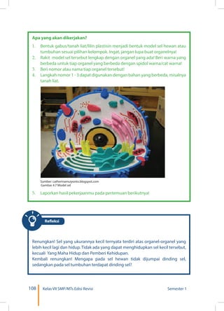 108 Kelas VII SMP/MTs Edisi Revisi Semester 1
Refleksi
Apa yang akan dikerjakan?
1.	 Bentuk gabus/tanah liat/lilin plastisin menjadi bentuk model sel hewan atau
tumbuhan sesuai pilihan kelompok. Ingat, jangan lupa buat organelnya!
2.	 Rakit model sel tersebut lengkap dengan organel yang ada! Beri warna yang
berbeda untuk tiap organel yang berbeda dengan spidol warna/cat warna!
3.	 Beri nomor atau nama tiap organel tersebut!
4.	 Langkah nomor 1 - 3 dapat digunakan dengan bahan yang berbeda, misalnya
tanah liat.
	 Sumber: catherinamuiyonto.blogspot.com
Gambar 4.7 Model sel
5.	 Laporkan hasil pekerjaanmu pada pertemuan berikutnya!
Renungkan! Sel yang ukurannya kecil ternyata terdiri atas organel-organel yang
lebih kecil lagi dan hidup. Tidak ada yang dapat menghidupkan sel kecil tersebut,
kecuali Yang Maha Hidup dan Pemberi Kehidupan.
Kembali renungkan! Mengapa pada sel hewan tidak dijumpai dinding sel,
sedangkan pada sel tumbuhan terdapat dinding sel?
 