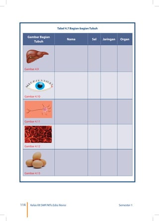 114 Kelas VII SMP/MTs Edisi Revisi Semester 1
Tabel 4.7 Bagian-bagian Tubuh
Gambar Bagian
Tubuh
Nama Sel Jaringan Organ
Gambar 4.9
Gambar 4.10
Gambar 4.11
Gambar 4.12
Gambar 4.13
 