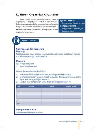 115Ilmu Pengetahuan Alam
D. Sistem Organ dan Organisme
Kamu sudah menemukan bermacam-macam
organ yang terdapat pada tumbuhan dan manusia.
Beberapaorganyangbekerjasamauntukmelakukan
fungsi kerja tertentu disebut dengan sistem organ.
Mari kita lanjutkan kegiatan ini, mempelajari sistem
organ dan organisme.
Sistem organ dan organisme
Menanya
Sebutkan organ-organ apa saja yang dapat kamu temukan pada tubuh manusia
dan telusuri apa fungsi organ tersebut!
Mencoba
Apa yang diperlukan?
-	 Torso/model manusia
Lakukan langkah-langkah berikut ini.
1.	 Perhatikan torso/model tubuh manusia yang ada di sekolahmu!
2.	 Kelompokkan organ-organ tersebut. Kemudian, tentukan menyusun sistem
organ apakah organ-organ tersebut!
3.	 Catatlah hasil pengamatan kamu dalam tabel seperti berikut ini!
No. Organ Fungsi Sistem Organ
1.
2.
3.
4.
dst
Mengomunikasikan
Simpulkan hasil pengamatanmu!
Ayo Kita Pelajari
•	 Sistem organ dan organisme
Mengapa Penting?
•	 Menjelaskan sistem organ
dan organisme
Ayo Kita Lakukan
 