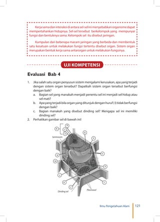 121Ilmu Pengetahuan Alam
Evaluasi Bab 4
1.	 Jika salah satu organ penyusun sistem mengalami kerusakan, apa yang terjadi
dengan sistem organ tersebut? Dapatkah sistem organ tersebut berfungsi
dengan baik?
a.	 Bagian sel yang manakah menjadi penentu sel ini menjadi sel hidup atau
sel mati?
b.	 Apa yang terjadi bila organ yang ditunjuk dengan huruf ( I) tidak berfungsi
dengan baik?
c.	 Bagian manakah yang disebut dinding sel? Mengapa sel ini memiliki
dinding sel?
2.	 Perhatikan gambar sel di bawah ini!
Sentrosom
Dinding sel
Plasmasel
Kerjasamadaninteraksidiantarasel-selinimenyebabkanorganismedapat
mempertahankan hidupnya. Sel-sel tersebut berkelompok yang mempunyai
fungsi dan bentuknya sama. Kelompok sel itu disebut jaringan.
Kumpulan dari beberapa macam jaringan yang berbeda dan membentuk
satu kesatuan untuk melakukan fungsi tertentu disebut organ. Sistem organ
merupakan bentuk kerja sama antarorgan untuk melakukan fungsinya.
UJI KOMPETENSI
 