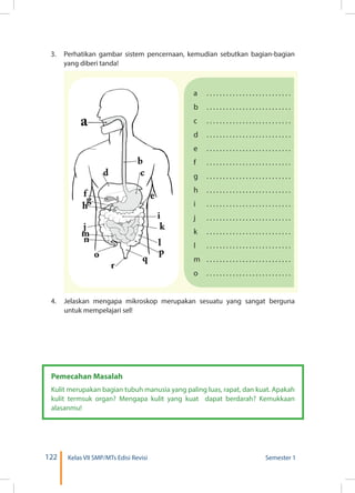 122 Kelas VII SMP/MTs Edisi Revisi Semester 1
3.	 Perhatikan gambar sistem pencernaan, kemudian sebutkan bagian-bagian
yang diberi tanda!
Pemecahan Masalah
Kulit merupakan bagian tubuh manusia yang paling luas, rapat, dan kuat. Apakah
kulit termsuk organ? Mengapa kulit yang kuat dapat berdarah? Kemukkaan
alasanmu!
a	 . . . . . . . . . . . . . . . . . . . . . . . . . .
b	 . . . . . . . . . . . . . . . . . . . . . . . . . .
c	 . . . . . . . . . . . . . . . . . . . . . . . . . .
d	 . . . . . . . . . . . . . . . . . . . . . . . . . .
e	 . . . . . . . . . . . . . . . . . . . . . . . . . .
f	 . . . . . . . . . . . . . . . . . . . . . . . . . .
g	 . . . . . . . . . . . . . . . . . . . . . . . . . .
h	 . . . . . . . . . . . . . . . . . . . . . . . . . .
i	 . . . . . . . . . . . . . . . . . . . . . . . . . .
j	 . . . . . . . . . . . . . . . . . . . . . . . . . .
k	 . . . . . . . . . . . . . . . . . . . . . . . . . .
l	 . . . . . . . . . . . . . . . . . . . . . . . . . .
m	 . . . . . . . . . . . . . . . . . . . . . . . . . .
o	 . . . . . . . . . . . . . . . . . . . . . . . . . .
4.	 Jelaskan mengapa mikroskop merupakan sesuatu yang sangat berguna
untuk mempelajari sel!
 