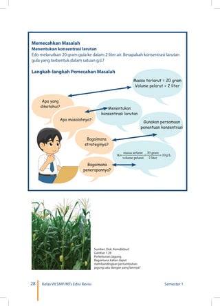 28 Kelas VII SMP/MTs Edisi Revisi Semester 1
Memecahkan Masalah
Menentukan konsentrasi larutan
Edo melarutkan 20 gram gula ke dalam 2 liter air. Berapakah konsentrasi larutan
gula yang terbentuk dalam satuan g/L?
Langkah-langkah Pemecahan Masalah
Sumber: Dok. Kemdikbud
Gambar 1.28
Perkebunan Jagung.
Bagaimana kalian dapat
membandingkan pertumbuhan
jagung satu dengan yang lainnya?
Apa yang
diketahui?
Apa masalahnya?
Bagaimana
strateginya?
Bagaimana
penerapannya?
Massa terlarut = 20 gram
Volume pelarut = 2 liter
Menentukan
konsentrasi larutan
Gunakan persamaan
penentuan konsentrasi
 