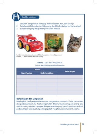 29Ilmu Pengetahuan Alam
1.	 Lakukan pengamatan terhadap mobil-mobilan, ikan, dan kucing!
2.	 Catatlah ciri hidup dan tak hidup yang dimiliki oleh ketiga benda tersebut!
3.	 Tulis ciri-ciri yang didapatkan pada tabel berikut!
Sumber: www.dooyoo.co.uk, www.sifakaoshi.net, www. viewwallpaper. com
Gambar 2.2 Mobil-mobilan, ikan, dan kucing
Bandingkan dan Simpulkan
Bandingkan hasil pengamatanmu dan pengamatan temanmu! Catat persamaan
dan perbedaannya! Jika hasil pengamatan dikomunikasikan kepada orang lain,
apakah orang tersebut memperoleh pemahaman yang sama? Berdasarkan hasil
perbandingan tersebut, hal penting apakah yang harus dirumuskan bersama?
Tabel 2.1 Data Hasil Pengamatan
Ciri-ciri Ikan/Kucing dan Mobil-mobilan
Ciri-ciri
Keterangan
Ikan/Kucing Mobil-mobilan
Ayo Kita Lakukan
 