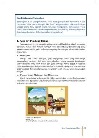 33Ilmu Pengetahuan Alam
Bandingkan dan Simpulkan
Bandingkan hasil pengamatanmu dan hasil pengamatan temanmu! Catat
persamaan dan perbedaannya! Jika hasil pengamatanmu dikomunikasikan
kepada orang lain, apakah orang tersebut memperoleh pemahaman yang
sama? Berdasarkan hasil perbandingan tersebut, hal penting apakah yang harus
dirumuskan bersama? Diskusikan dalam kelompokmu!
1.	 Ciri-ciri Makhluk Hidup
Secara umum, ciri-ciri yang ditemukan pada makhluk hidup adalah bernapas,
bergerak, makan dan minum, tumbuh dan berkembang, berkembang biak,
mengeluarkan zat sisa, peka terhadap rangsang, dan menyesuaikan diri terhadap
lingkungan.
a.	Bernapas
Setiap saat kamu bernapas, yaitu menghirup udara yang diantaranya
mengandung oksigen (O2
) dan mengeluarkan udara dengan kandungan
karbondioksida (CO2
) lebih besar dari yang dihirup. Kamu dapat merasakan
kebutuhan bernapas dengan cara menahan untuk tidak menghirup udara selama
beberapa saat. Tentunya kamu akan merasakan sesak sebagai tanda kekurangan
oksigen.
b.	 Memerlukan Makanan dan Minuman
Untuk beraktivitas, setiap makhluk hidup memerlukan energi. Dari manakah
energitersebutdiperoleh?Untukmemperolehenergi,makhlukhidupmemerlukan
makanan dan minuman.
Sumber: Dok. Kemdikbud
Gambar 2.5
(a) Kambing Makan Rumput; (b) Manusia Makan Nasi
(a) (b)
 