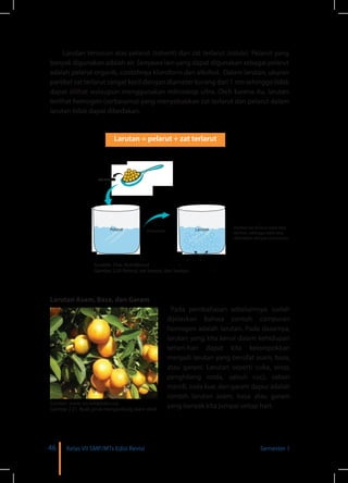 46 Kelas VII SMP/MTs Edisi Revisi Semester 1
Dilarutkan
Partikel zat terlarut tidak bisa
terlihat, sehingga tidak bisa
dibedakan dengan pelarutnya
Pelarut Larutan
Zat terlarut
Dilarutkan
Partikel zat terlarut tidak bisa
terlihat, sehingga tidak bisa
dibedakan dengan pelarutnya
Pelarut Larutan
Zat terlarut
Larutan tersusun atas pelarut (solvent) dan zat terlarut (solute). Pelarut yang
banyak digunakan adalah air. Senyawa lain yang dapat digunakan sebagai pelarut
adalah pelarut organik, contohnya kloroform dan alkohol. Dalam larutan, ukuran
partikel zat terlarut sangat kecil dengan diameter kurang dari 1 nm sehingga tidak
dapat dilihat walaupun menggunakan mikroskop ultra. Oleh karena itu, larutan
terlihat homogen (serbasama) yang menyebabkan zat terlarut dan pelarut dalam
larutan tidak dapat dibedakan.
Sumber: Dok. Kemdikbud
Gambar 2.20 Pelarut, zat terarut, dan larutan
Larutan = pelarut + zat terlarut
Larutan Asam, Basa, dan Garam
Sumber: www. en.wikipedia.org
Gambar 2.21 Buah jeruk mengandung asam sitrat
Pada pembahasan sebelumnya, sudah
dijelaskan bahwa contoh campuran
homogen adalah larutan. Pada dasarnya,
larutan yang kita kenal dalam kehidupan
sehari-hari dapat kita kelompokkan
menjadi larutan yang bersifat asam, basa,
atau garam. Larutan seperti cuka, sirop,
penghilang noda, sabun cuci, sabun
mandi, soda kue, dan garam dapur adalah
contoh larutan asam, basa atau garam
yang banyak kita jumpai setiap hari.
 