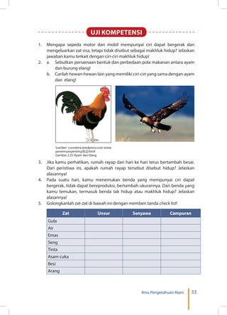 53Ilmu Pengetahuan Alam
1.	 Mengapa sepeda motor dan mobil mempunyai ciri dapat bergerak dan
mengeluarkan zat sisa, tetapi tidak disebut sebagai makhluk hidup? Jelaskan
jawaban kamu terkait dengan ciri-ciri makhluk hidup!
2.	 a. 	 Sebutkan persamaan bentuk dan perbedaan pola makanan antara ayam
dan burung elang!
	 b. 	 Carilah hewan-hewan lain yang memiliki ciri-ciri yang sama dengan ayam
dan elang!
3.	 Jika kamu perhatikan, rumah rayap dari hari ke hari terus bertambah besar.
Dari peristiwa ini, apakah rumah rayap tersebut disebut hidup? Jelaskan
alasannya!
4.	 Pada suatu hari, kamu menemukan benda yang mempunyai ciri dapat
bergerak, tidak dapat bereproduksi, bertambah ukurannya. Dari benda yang
kamu temukan, termasuk benda tak hidup atau makhluk hidup? Jelaskan
alasannya!
5.	 Golongkanlah zat-zat di bawah ini dengan memberi tanda check list!
Zat Unsur Senyawa Campuran
Gula
Air
Emas
Seng
Tinta
Asam cuka
Besi
Arang
UJI KOMPETENSI
Sumber: curusetra.wordpress.com www.
penemuanpenting.BLQ.html
Gambar 2.25 Ayam dan Elang
 