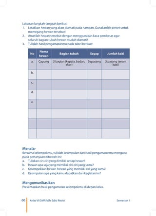 60 Kelas VII SMP/MTs Edisi Revisi Semester 1
Lakukan langkah-langkah berikut!
1.	 Letakkan hewan yang akan diamati pada nampan. Gunakanlah pinset untuk
memegang hewan tersebut!
2.	 Amatilah hewan tersebut dengan menggunakan kaca pembesar agar
seluruh bagian tubuh hewan mudah diamati!
3.	 Tulislah hasil pengamatanmu pada tabel berikut!
No
Nama
hewan
Bagian tubuh Sayap Jumlah kaki
a. Capung 3 bagian (kepala, badan,
ekor)
Sepasang 3 pasang (enam
kaki)
b.
c.
d.
e.
Menalar
Bersama kelompokmu, tulislah kesimpulan dari hasil pengamatanmu mengacu
pada pertanyaan dibawah ini!
a.	 Tuliskan ciri-ciri yang dimiliki setiap hewan!
b.	 Hewan apa saja yang memiliki ciri-ciri yang sama?
c.	 Kelompokkan hewan-hewan yang memiliki ciri yang sama!
d.	 Kesimpulan apa yang kamu dapatkan dari kegiatan ini?
Mengomunikasikan
Presentasikan hasil pengamatan kelompokmu di depan kelas.
 