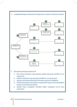 66 Kelas VII SMP/MTs Edisi Revisi Semester 1
2.	 Lengkapilah diagram di bawah ini dengan jenis tumbuh-tumbuhan tersebut!
3.	 Diskusikan pertanyaan berikut ini!
	 a.	 Dari semua tumbuhan yang diamati, apakah ada yang memiliki ciri-ciri
yang sama?
	 b.	 Jelaskan tumbuhan apa saja yang memiliki ciri-ciri yang sama!
	 c.	 Jelaskan ada berapa kelompok tumbuhan yang kamu dapatkan!
	 d.	 Tulislah kesimpulan dari kegiatan ini pada buku tugasmu dan bandingkan
dengan hasil kelompok lainnya!
	 e.	 Apakah kamu mengalami kesulitan dalam mengenali ciri-ciri jenis
tumbuhan?
........................
........................
Tubuh berupa talus
Tubuh tidak
berupa talus
........................
........................
tidak mempunyai
akar, batang dan daun
........................
6 a
6 b
5 a
5 b
TUMBUHAN
Mempunyai akar,
batang dan daun
........................
........................
berbunga
........................
........................
........................
........................
Tulang daun
menyirip/ menjari
........................
Tulang daun tidak
menyirip/ menjari
........................
tidak berbunga
........................
1 a
1 b
2 a
3 a 4 a
4 b
4 c
3 b
2 b
 