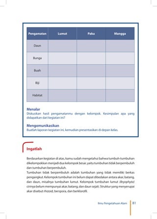 81Ilmu Pengetahuan Alam
Pengamatan Lumut Paku Mangga
Daun
Bunga
Buah
Biji
Habitat
Menalar
Diskusikan hasil pengamatanmu dengan kelompok. Kesimpulan apa yang
didapatkan dari kegiatan ini?
Mengomunikasikan
Buatlah laporan kegiatan ini, kemudian presentasikan di depan kelas.
Ingatlah
Berdasarkan kegiatan di atas, kamu sudah mengetahui bahwa tumbuh-tumbuhan
dikelompokkan menjadi dua kelompok besar, yaitu tumbuhan tidak berpembuluh
dan tumbuhan berpembuluh.
Tumbuhan tidak berpembuluh adalah tumbuhan yang tidak memiliki berkas
pengangkut. Kelompok tumbuhan ini belum dapat dibedakan antara akar, batang,
dan daun, misalnya tumbuhan lumut. Kelompok tumbuhan lumut (Bryophyta)
cirinya belum mempunyai akar, batang, dan daun sejati. Struktur yang menyerupai
akar disebut rhizoid, berspora, dan berklorofil.
 