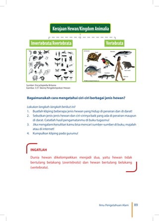 89Ilmu Pengetahuan Alam
Invertebrata/Avertebrata Vertebrata
KerajaanHewan/KingdomAnimalia
Sumber: Encyclopedia Britania
Gambar. 3.31 Skema Pengelompokan Hewan
Bagaimanakah cara mengetahui ciri-ciri berbagai jenis hewan?
Lakukan langkah-langkah berikut ini!
1.	 Buatlah kliping beberapa jenis hewan yang hidup di perairan dan di darat!
2.	 Sebutkan jenis-jenis hewan dan ciri-cirinya baik yang ada di perairan maupun
di darat. Catatlah hasil pengamatanmu di buku tugasmu!
3.	 Jika mengalami kesulitan kamu bisa mencari sumber-sumber di buku, majalah
atau di internet!
4.	 Kumpulkan kliping pada gurumu!
INGATLAH
Dunia hewan dikelompokkan menjadi dua, yaitu hewan tidak
bertulang belakang (avertebrata) dan hewan bertulang belakang
(vertebrata).
 